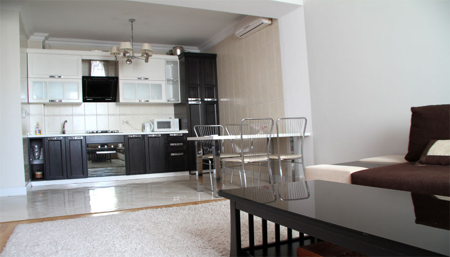Monthly rental in the center of Chisinau: 2 rooms, 1 bedroom, 47 m²